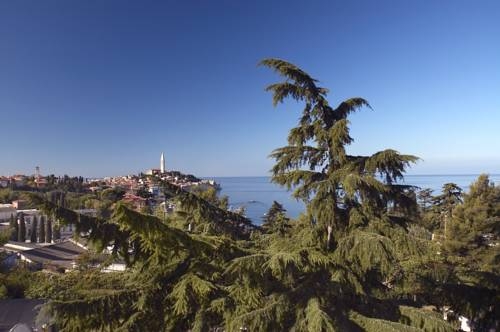 Imagen general del Hotel Villa Dobravac. Foto 4