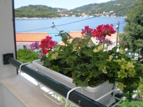 Imagen general del Hotel Villa Doris, Zaton. Foto 12
