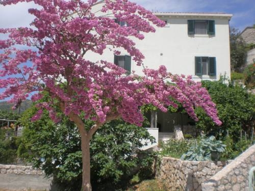 Imagen general del Hotel Villa Doris, Zaton. Foto 14