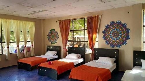 Imagen de la habitación del Hotel Villa Elina. Foto 6