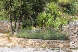 Imagen general del Hotel Villa Elizabeta, Banjole. Foto 14