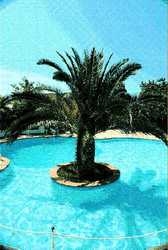 Imagen general del Hotel Villa Eos. Foto 7