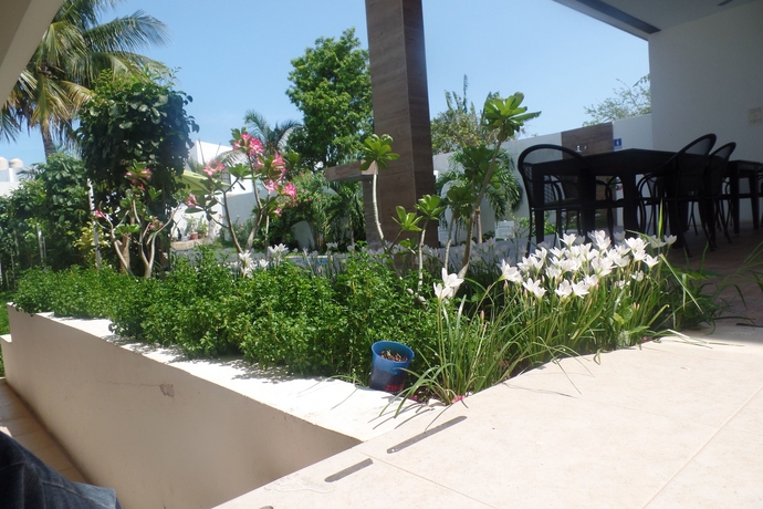 Imagen de los exteriores del Hotel Villa Escondida Campeche. Foto 9