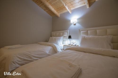 Imagen de la habitación del Hotel Villa Ester. Foto 9