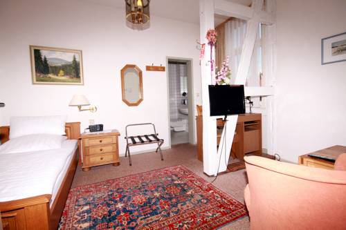 Imagen de la habitación del Hotel Villa Feise. Foto 9