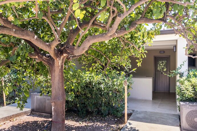 Imagen general del Hotel Villa Felicia. Foto 7