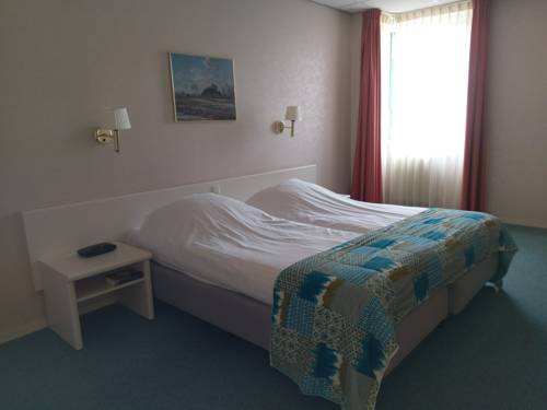 Imagen de la habitación del Hotel Villa Flora. Foto 2