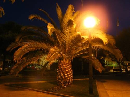 Imagen general del Hotel Villa Flora, Malinska. Foto 6