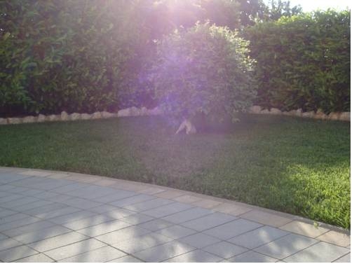 Imagen general del Hotel Villa Flora, Malinska. Foto 14