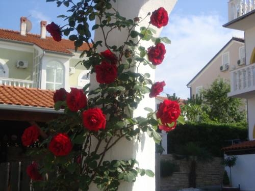Imagen general del Hotel Villa Flora, Malinska. Foto 15