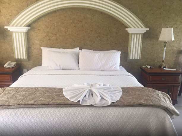 Imagen de la habitación del Hotel Villa Florencia, TEQUISQUIAPAN. Foto 14