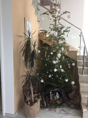 Imagen de los interiores del Hotel Villa Flowers. Foto 19