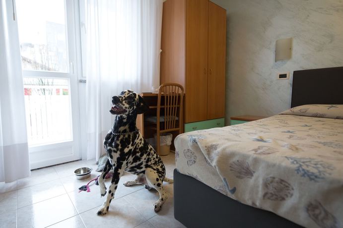 Imagen de la habitación del Hotel Villa Franca, Lignano Sabbiadoro. Foto 17