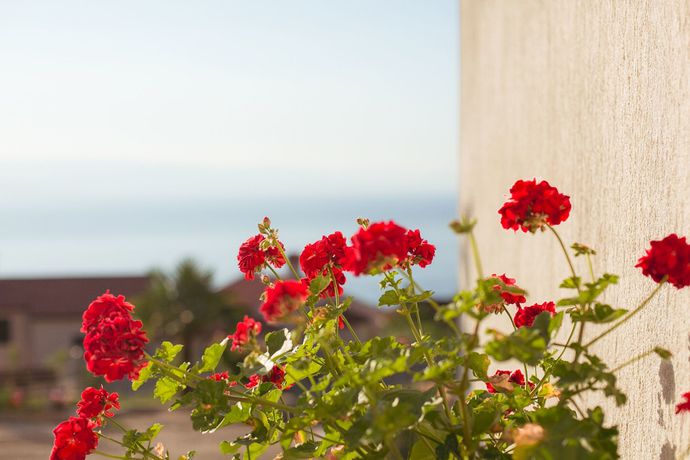 Imagen de la habitación del Hotel Villa Gauss. Foto 8