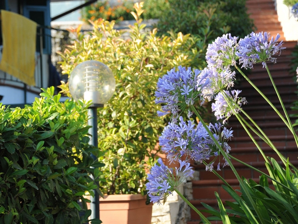 Imagen de los exteriores del Hotel Villa Giada Resort. Foto 10