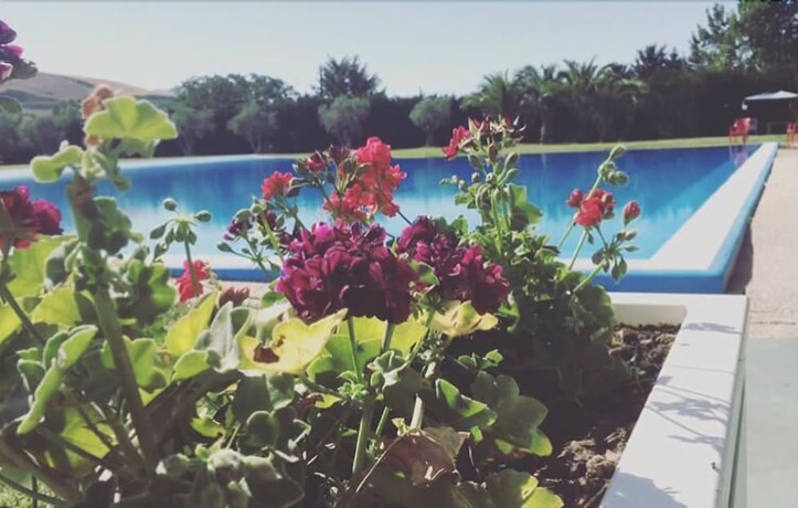Imagen de la piscina del Hotel Villa Giatra. Foto 20