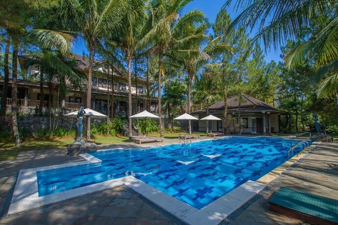 Imagen de la piscina del Hotel Villa Grand Artos. Foto 37