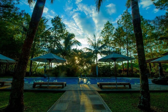 Imagen de la piscina del Hotel Villa Grand Artos. Foto 38
