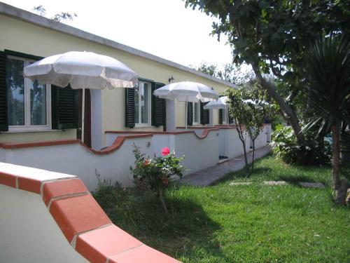 Imagen de los exteriores del Hotel Villa Hibiscus. Foto 10