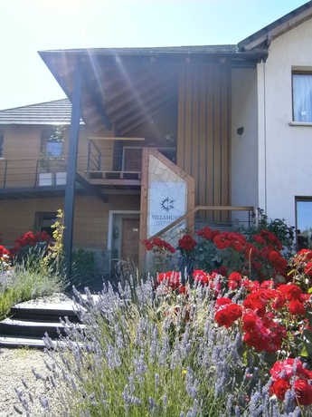 Imagen de los exteriores del Hotel Villa Huapi Resort. Foto 11