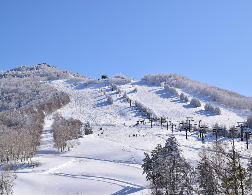 Imagen general del Hotel Villa Ichinose. Foto 5