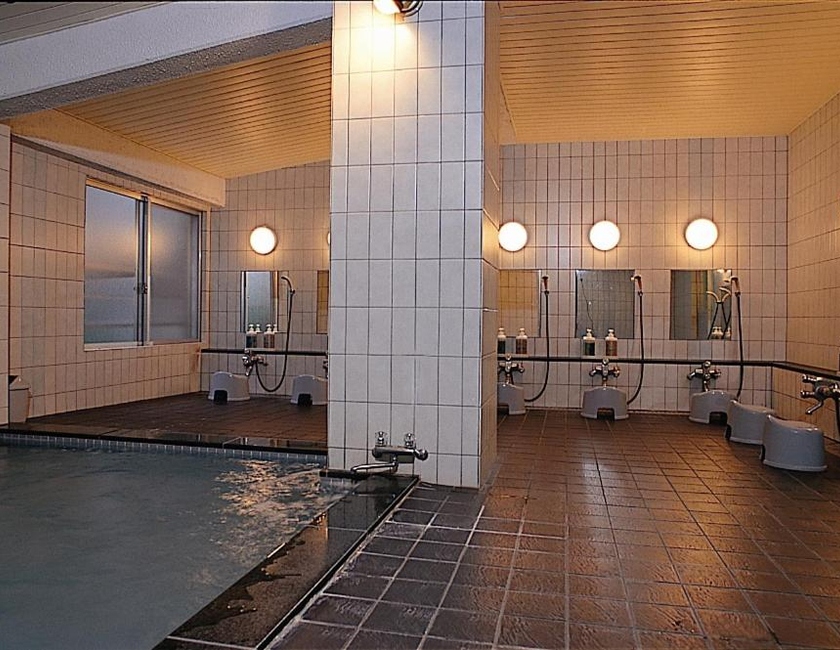 Imagen general del Hotel Villa Ichinose. Foto 7