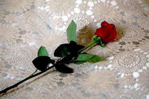 Imagen de la habitación del Hotel Villa Il Castagno. Foto 5