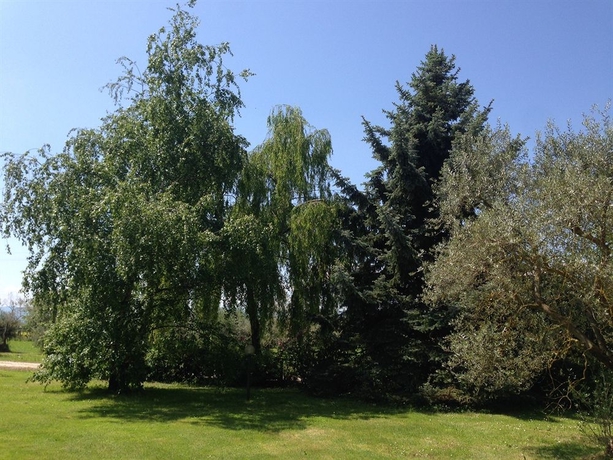 Imagen de los exteriores del Hotel Villa Il Crocicchio. Foto 6