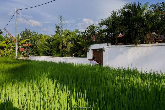Imagen de los exteriores del Hotel Villa Iman. Foto 14
