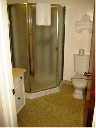 Imagen de la habitación del Hotel Villa Inn, San Rafael. Foto 13