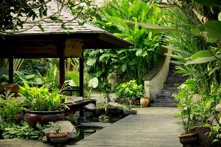 Imagen de la habitación del Hotel Villa Jalak Bali. Foto 4