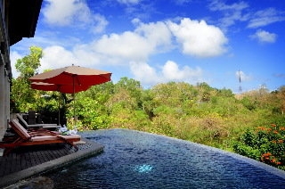 Imagen de la piscina del Hotel Villa Jalak Bali. Foto 7