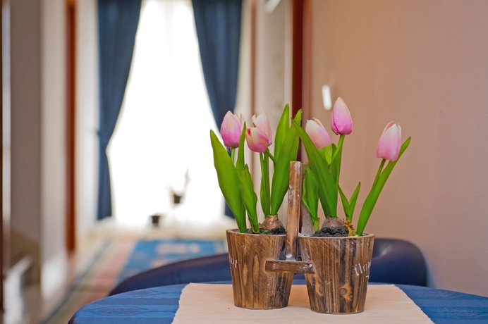 Imagen de los interiores del Hotel Villa Javor. Foto 16