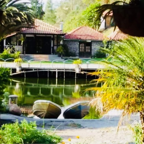 Imagen general del Hotel Villa Juliana. Foto 1