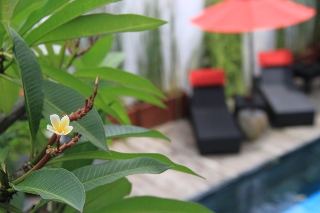 Imagen general del Hotel Villa KamarKamar Bali. Foto 2