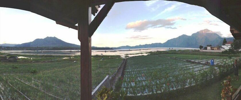 Imagen general del Hotel Villa Kedisan Lake View Kintamani. Foto 10