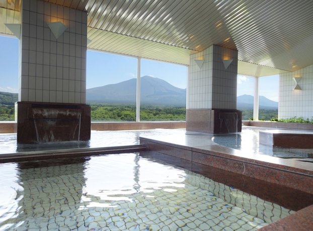Imagen de la piscina del Hotel Villa Kitakaruizawa L Wing. Foto 9