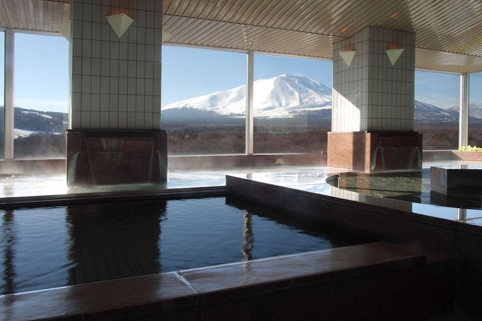 Imagen de la piscina del Hotel Villa Kitakaruizawa L Wing. Foto 10