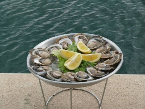 Imagen general del Hotel Villa Koruna. Foto 3