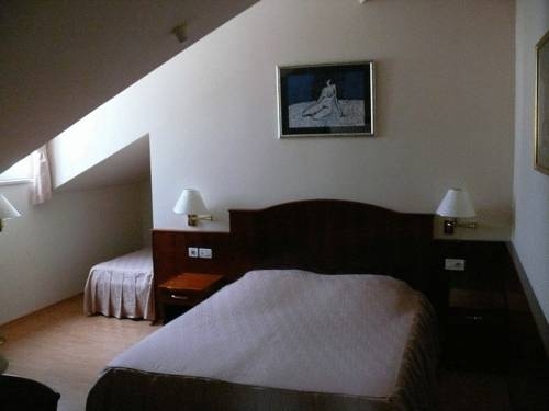 Imagen general del Hotel Villa Koruna. Foto 7