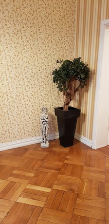 Imagen de los interiores del Hotel Villa Lalee. Foto 20