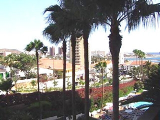 Imagen general del Hotel Villa Las Flores. Foto 1