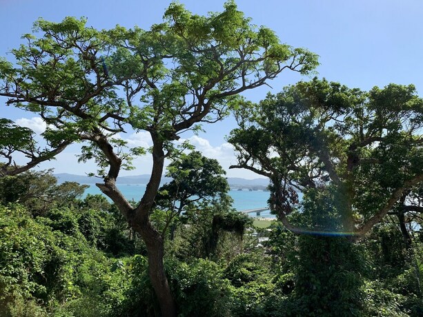 Imagen de la habitación del Hotel Villa Leilani. Foto 15