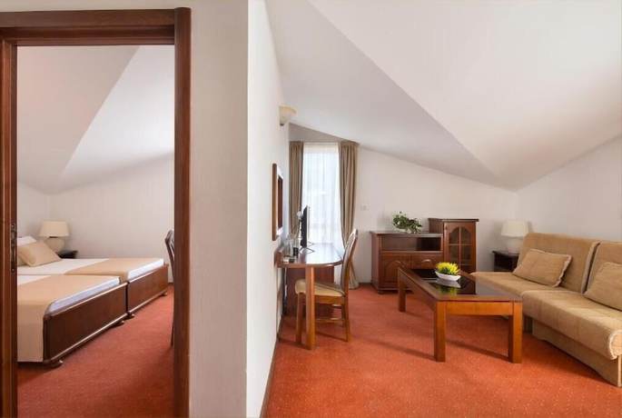 Imagen de la habitación del Hotel Villa Ljubanovic. Foto 19