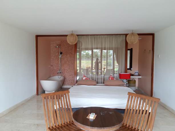 Imagen de la habitación del Hotel Villa Lotus 8. Foto 7
