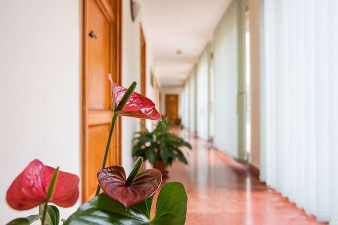 Imagen de los interiores del Hotel Villa MG. Foto 16