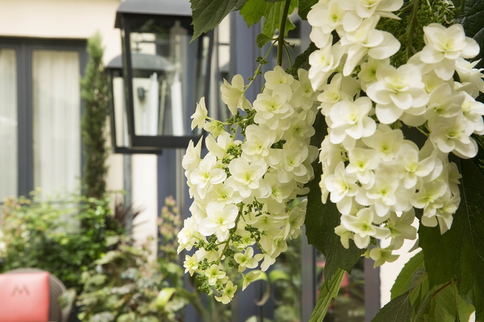 Imagen de los exteriores del Hotel Villa Madame. Foto 13