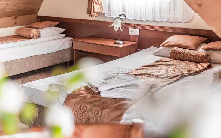 Imagen de la habitación del Hotel Villa Magnat. Foto 19