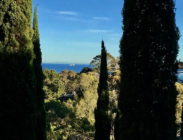 Imagen de la habitación del Hotel Villa Mallorca. Foto 24