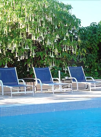 Imagen de la piscina del Hotel Villa Mandarine. Foto 19